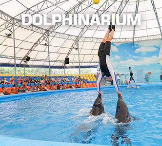 Dolphinarium Dubai-pic